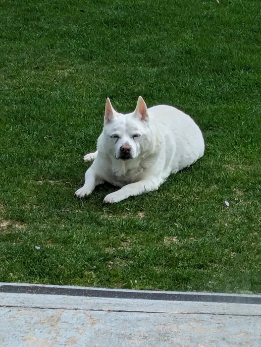 Mercy Animal Hospital Picture 7