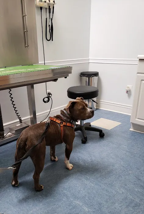 Oaklawn Animal Hospital: Cutts Shannon DVM Picture 1