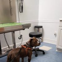 Oaklawn Animal Hospital: Cutts Shannon DVM ico