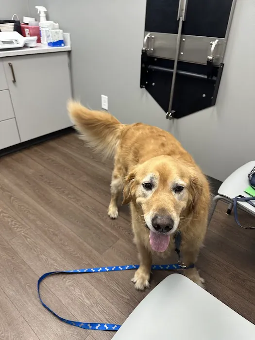 Warwick PetMedic Urgent Care Vet Clinic Picture 1