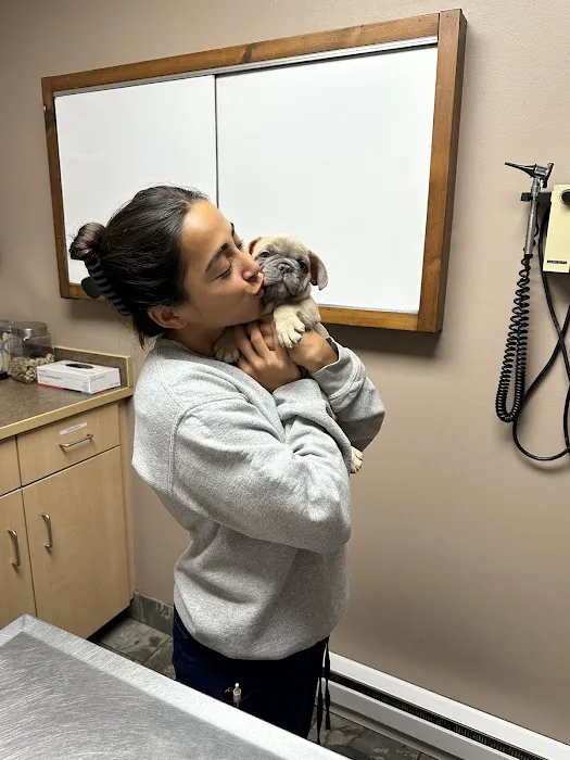 South County Veterinary Hospital Picture 7