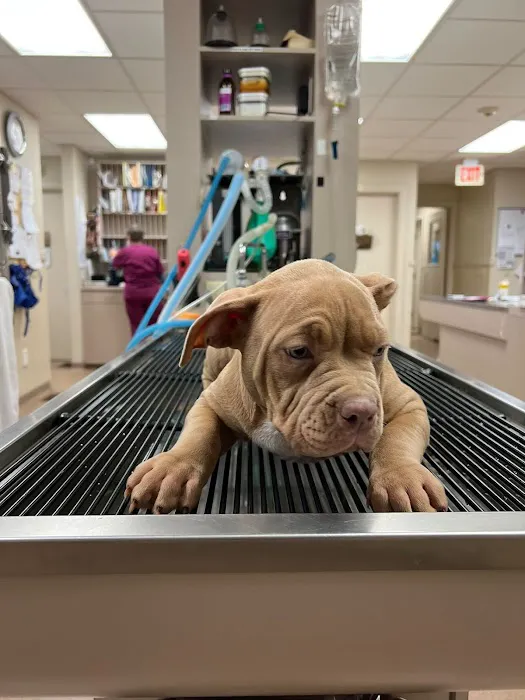 Washington County Vet Hospital Picture 2