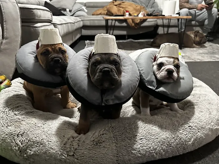 Washington County Vet Hospital Picture 4