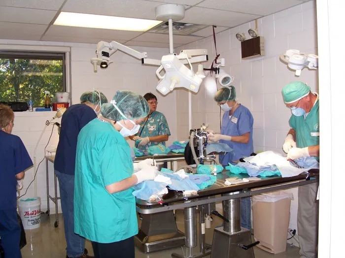 VCA Wickaboag Animal Hospital Picture 3