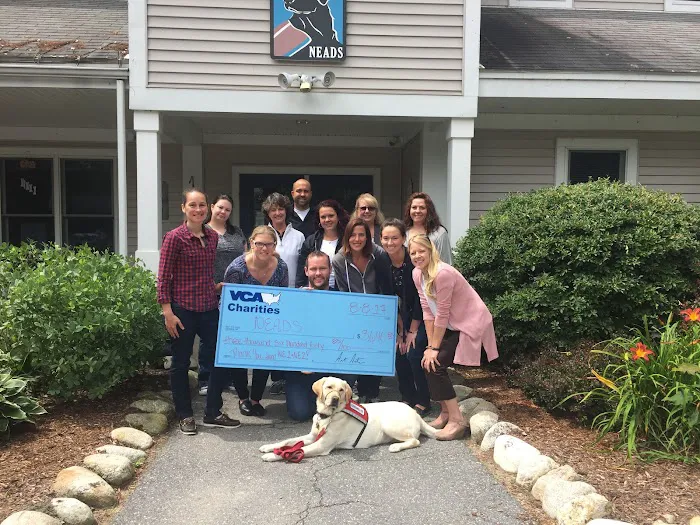 VCA Wickaboag Animal Hospital Picture 2