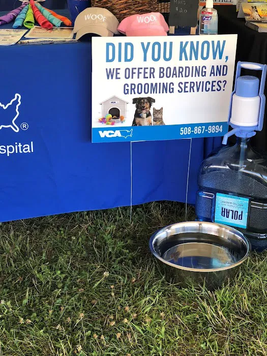 VCA Wickaboag Animal Hospital Picture 6
