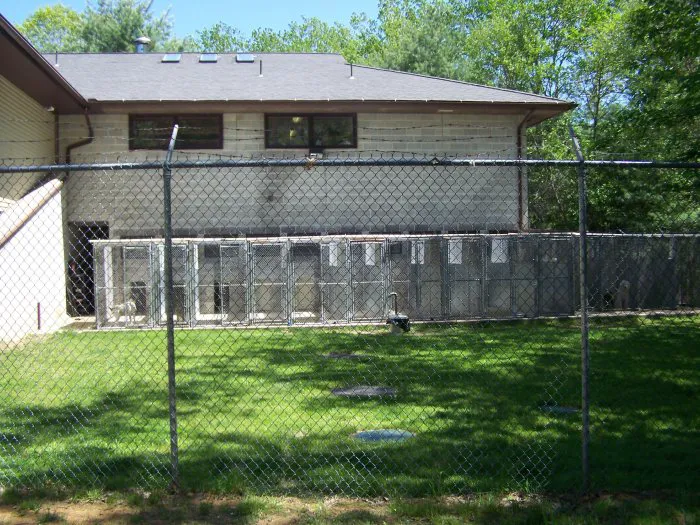 VCA Wickaboag Animal Hospital Picture 5