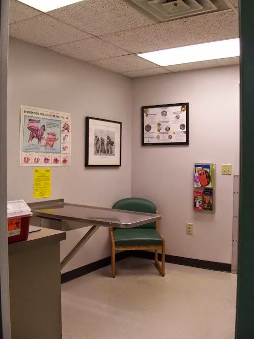 VCA Wickaboag Animal Hospital Picture 10