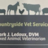 Countryside Vet Service ico