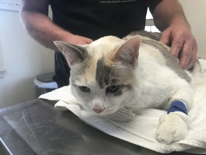 South Deerfield Veterinary Clinic Picture 5