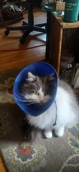 South Deerfield Veterinary Clinic Picture 9