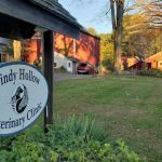 Windy Hollow Veterinary Clinic