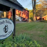 Windy Hollow Veterinary Clinic ico