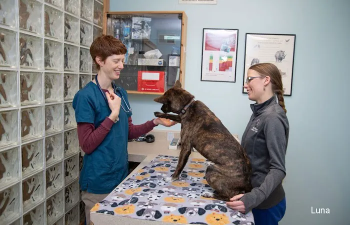 Windy Hollow Veterinary Clinic Picture 4