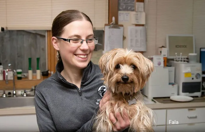 Windy Hollow Veterinary Clinic Picture 2