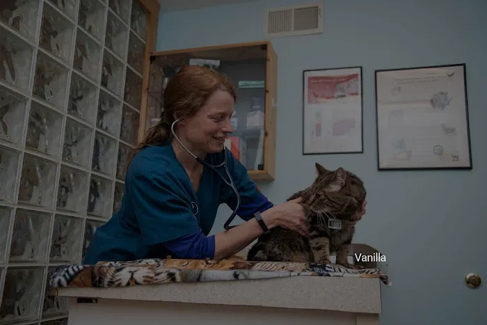 Windy Hollow Veterinary Clinic Picture 9