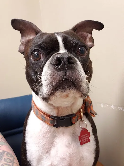 Spencer Veterinary Hospital, LLC Picture 7