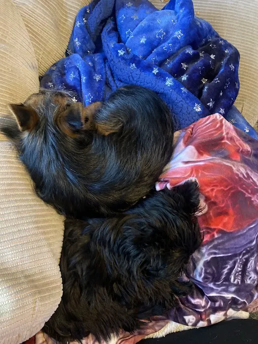 Spencer Veterinary Hospital, LLC Picture 10