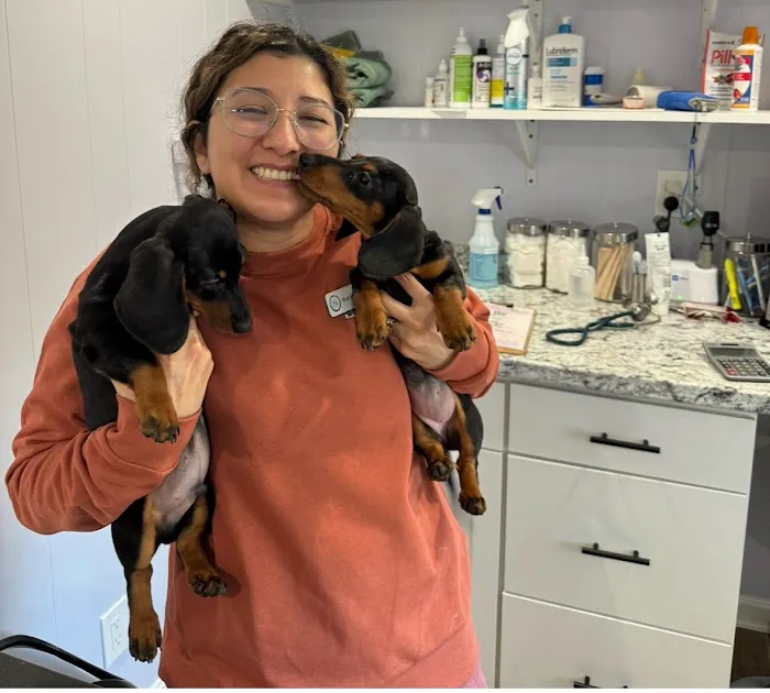 Rutland Veterinary Clinic Picture 6