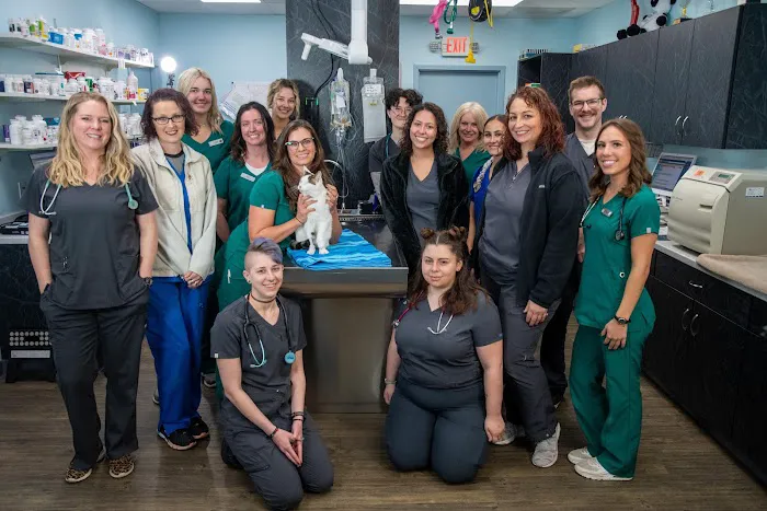 Family Vet Care Center Picture 1
