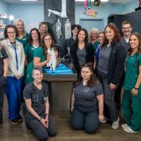 Family Vet Care Center ico
