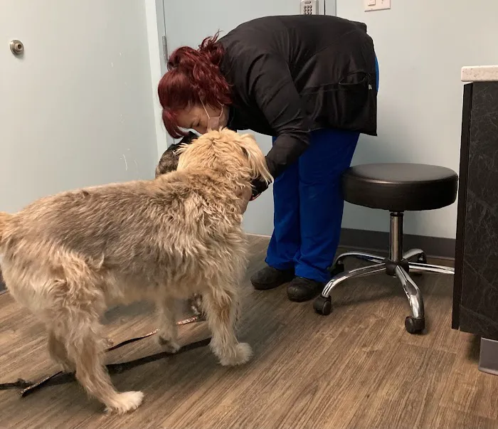 Family Vet Care Center Picture 7