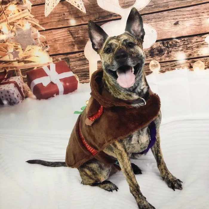 Family Vet Care Center Picture 9