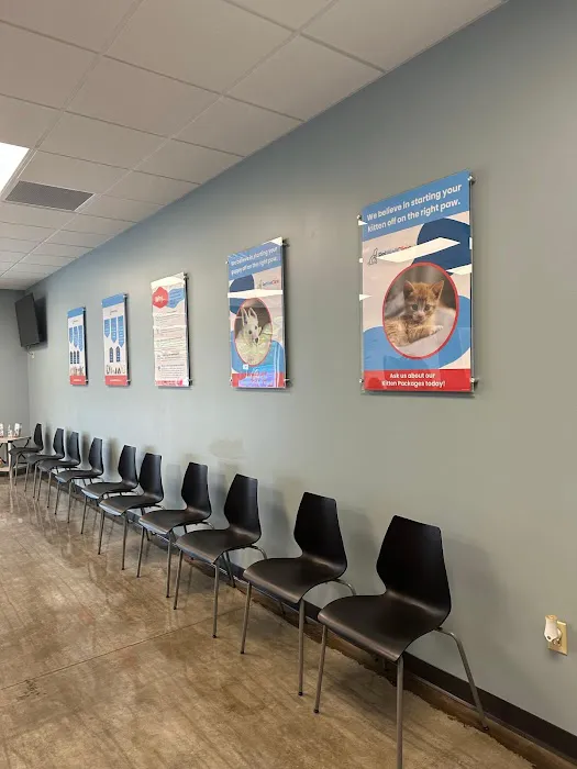 PetWellClinic - Washington Picture 1