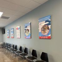 PetWellClinic - Washington ico