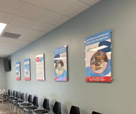 PetWellClinic - Washington