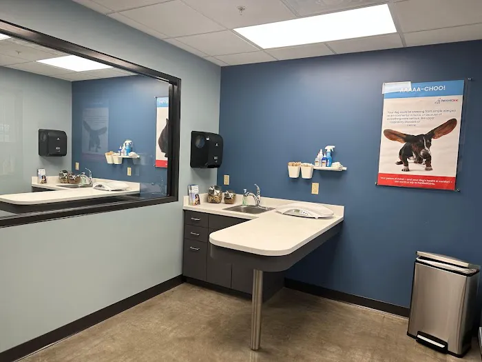 PetWellClinic - Washington Picture 3