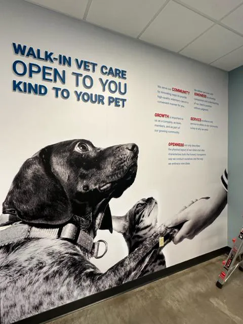 PetWellClinic - Washington Picture 10