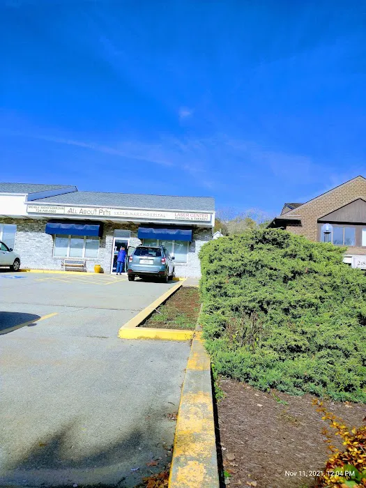 All About Pets Veterinary Hospital Picture 1