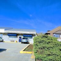 All About Pets Veterinary Hospital ico