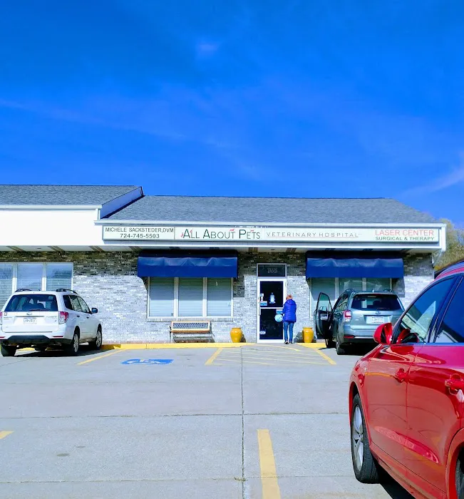 All About Pets Veterinary Hospital Picture 2