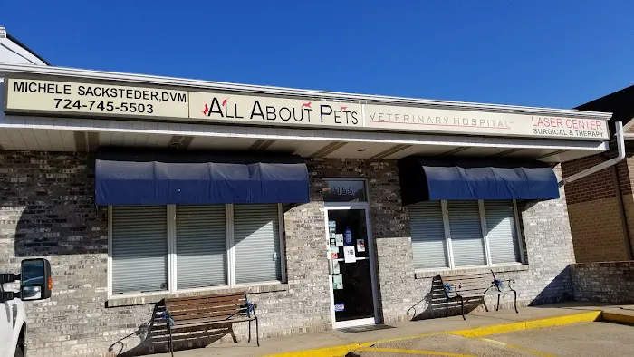 All About Pets Veterinary Hospital Picture 5