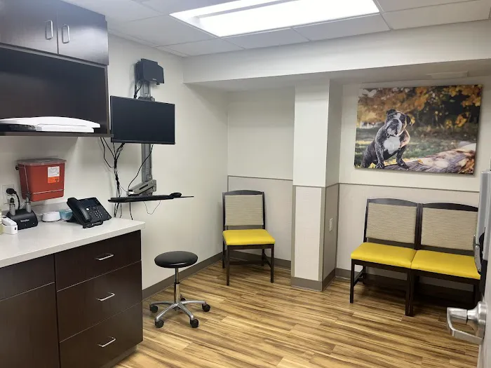 VCA Castle Shannon Animal Hospital Picture 1