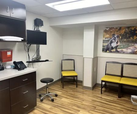 VCA Castle Shannon Animal Hospital