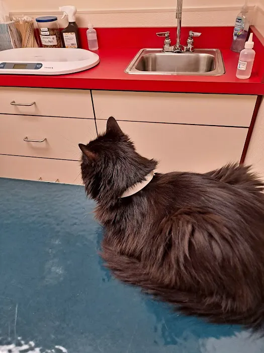 Rivers Veterinary Urgent Care Picture 1