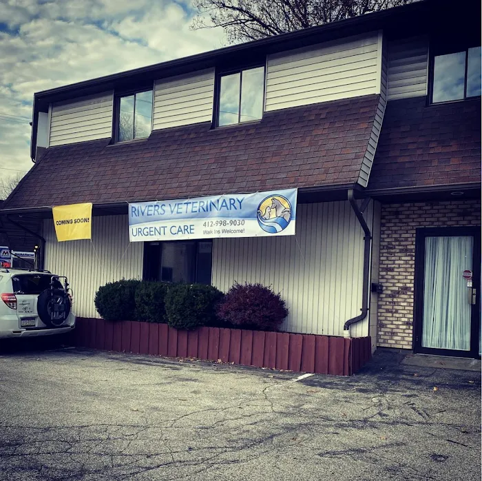 Rivers Veterinary Urgent Care Picture 3