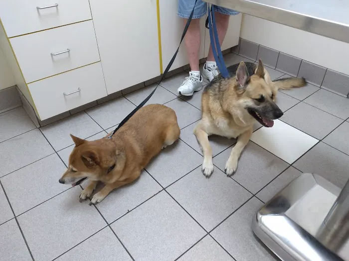 Rivers Veterinary Urgent Care Picture 8
