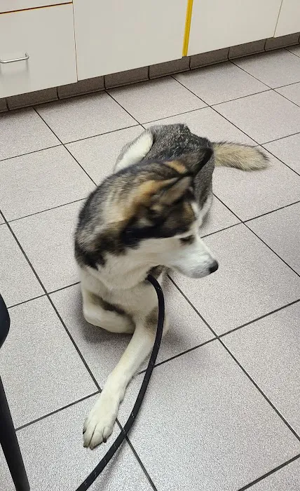 Rivers Veterinary Urgent Care Picture 10