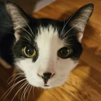 Edgebrook Veterinary Clinic ico