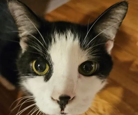 Edgebrook Veterinary Clinic