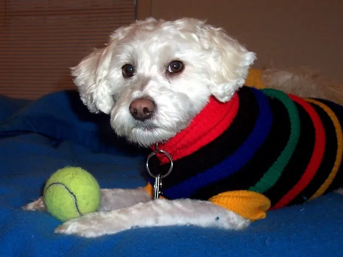 Edgebrook Veterinary Clinic Picture 5