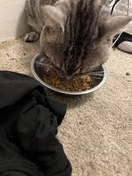 Edgebrook Veterinary Clinic Picture 7