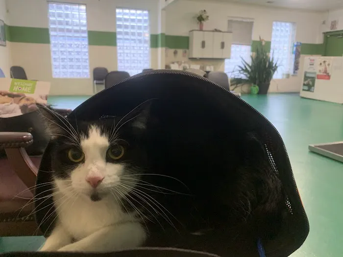 Edgebrook Veterinary Clinic Picture 8