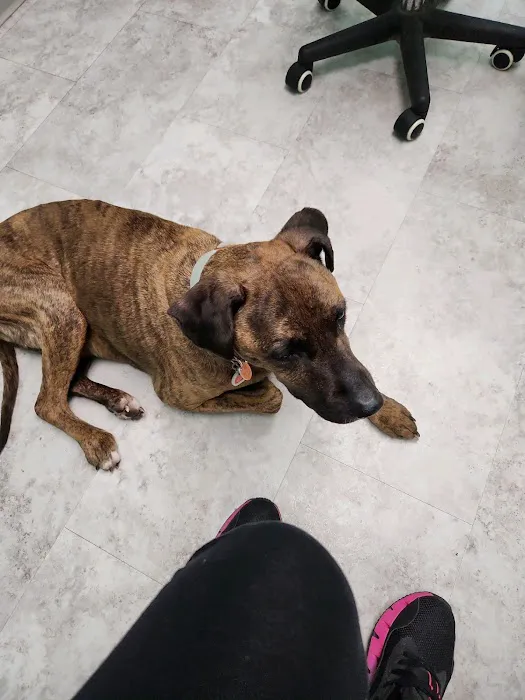 West Liberty Animal Hospital Picture 1