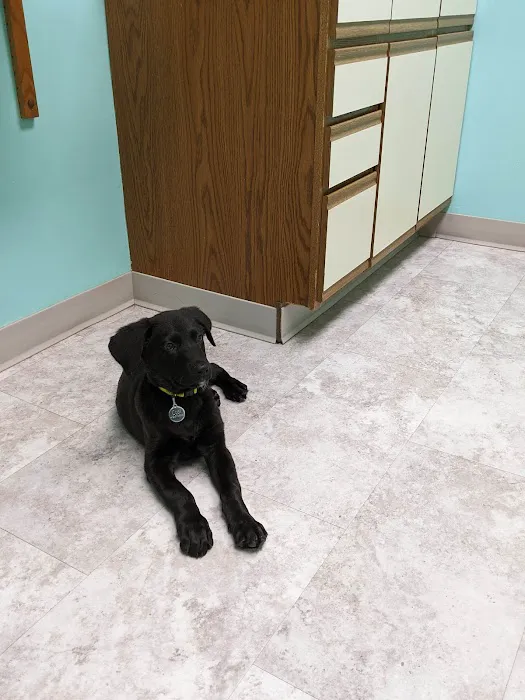 West Liberty Animal Hospital Picture 10