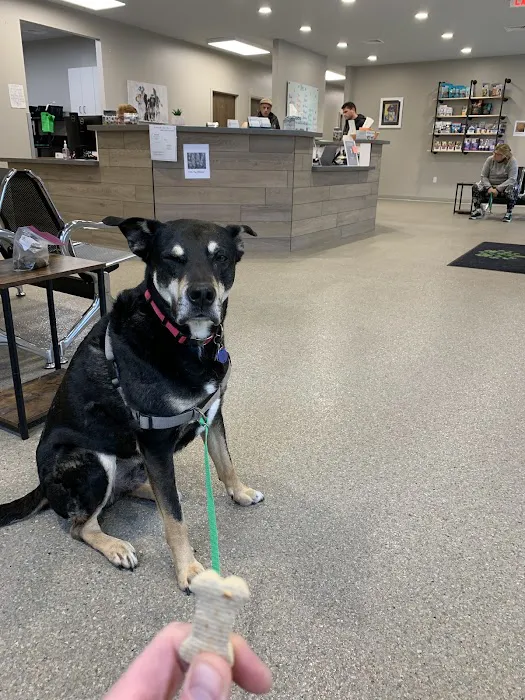 Greentree Animal Clinic South Picture 4